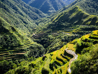 Rice terraces of Batad in Luzon, Philippines