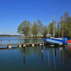 Fototapeta na wymiar Morning scene in Auslikon, beautiful place on thge shore of lake Pfaffikon. Old tree and sailing boats.