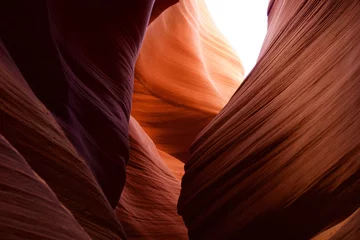 Fototapeten Antilope Antilopenschlucht  © NickJoe