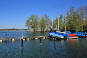 Spring morning in Auslikon. Fishing boats and old tree on the shore of lake Pfaffikon.