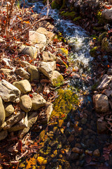 The little creek with riffle, view from above, Helen, USA.