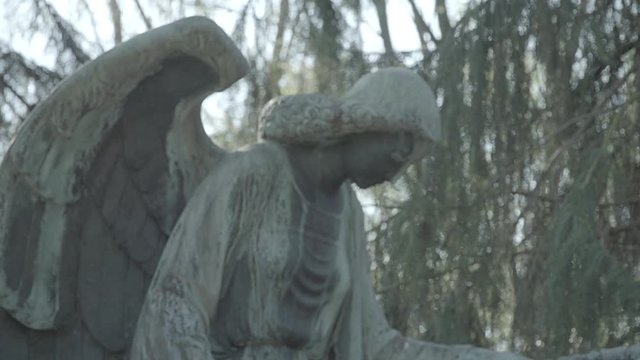 Old grave with an angel on a sunny spring day. Defocus on angel. 4K in SLOG3. Medium shot.
