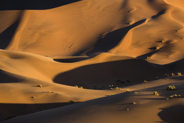 Fototapeta na wymiar Abstract of a Sand dune.