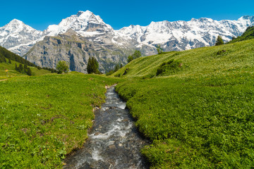 Mountain stream near the village of Mürren, Switzerland