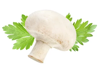 Poster One champignon mushroom and parsley leaves isolated on white background © xamtiw