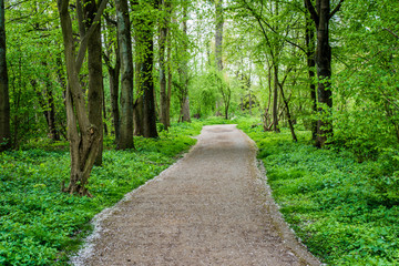 Neuss Selikum - Im Park