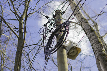 Coil of wires on the pole
