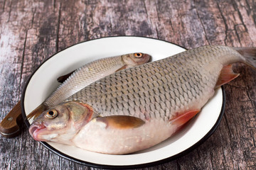  River fish.  Fresh river fish roach, large and small, on a white metal dish on an old wooden table.
