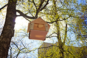 Wooden birdhouse on a tree, against the sky, a view from below