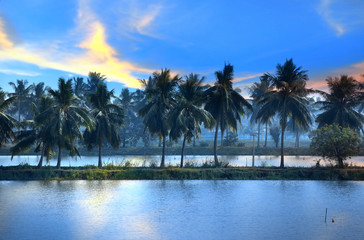Fototapeta na wymiar Coconut trees and reflection in southern India state Andhra pradesh