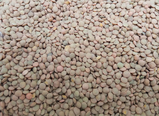 Fototapeta premium Lentils pulse grain legumes