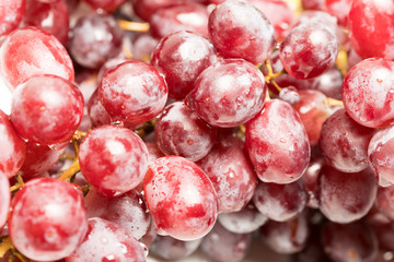 Red Grapes Full screen Close up
