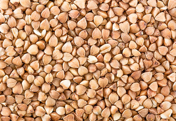 Buckwheats texture
