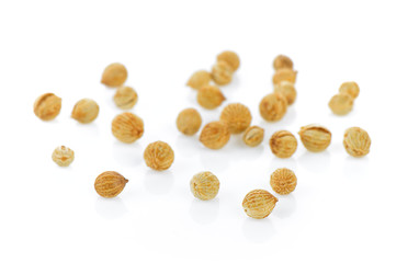 Coriander seeds isolated on white background