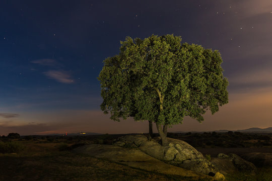 Landscape in the Natural Area of Barruecos. Using technique of lightpainting. Malpartida de Caceres. Extremadura. Spain.