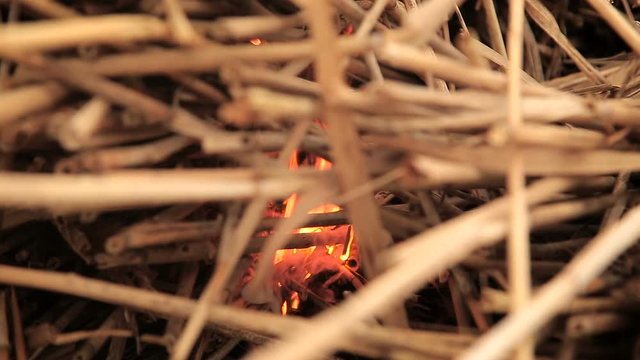 Stack of dry grass on fire
