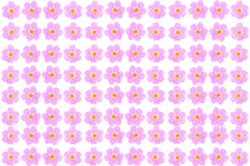 Pink flower decorated for background