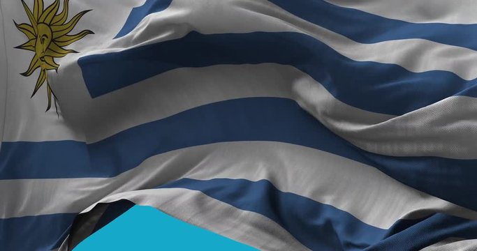 National Flag of  Uruguay waving in the wind slow motion Seamless Loop Animation