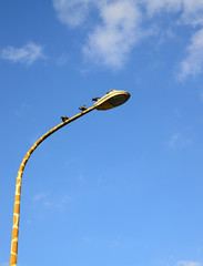 Street lamp