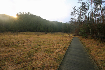 徳島県三好市　黒沢湿原