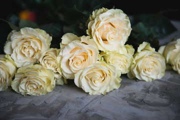 bunch of white roses on a concrete background