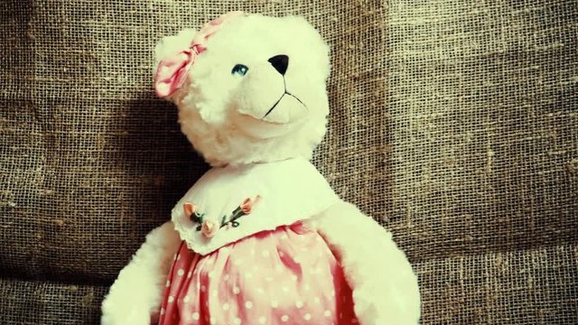 Vintage bear with a cup. Panoramic view.