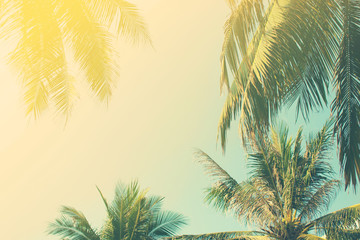Tropical background. Toning