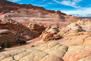 The Wave in North  Coyote Buttes, Arizona