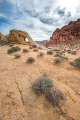 Colorful sandstone on the trail in Valley of Fire
