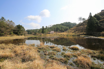 徳島県三好市　黒沢湿原