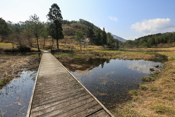 Naklejka premium 徳島県三好市 黒沢湿原