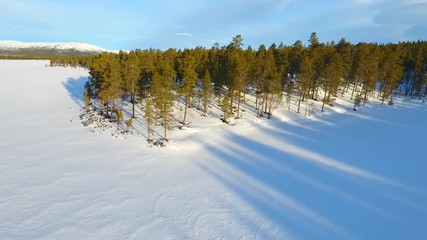 Low level flight over a norwegian lake and pine forest in winter 