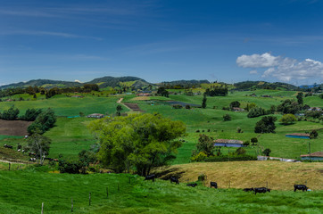 paisaje rural