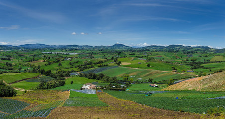 Fototapeta na wymiar panorama rural