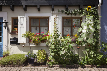 Fototapeta na wymiar Blumenschmuck vor Fachwerkhaus, Baden-Württemberg, Deutschland, Europe