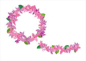 crown flowers set  side way and top isolated on white background