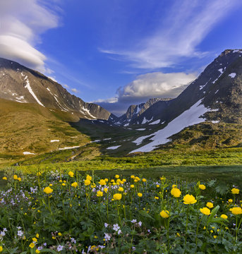 Urals mountain meadows