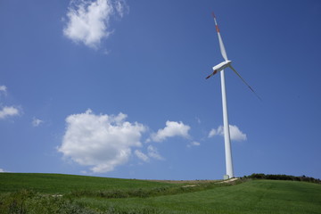 Wind blades in the countryside