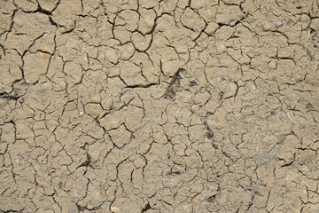 Dried mud texture, from mud hut style house
