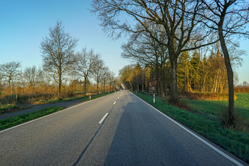 Fototapeta premium rano na ulicy wiosną