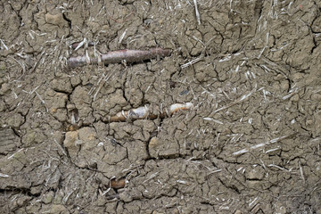 mud, straw and stick texture from wall of mud hut