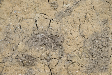 dried mud and straw as used in medieval building