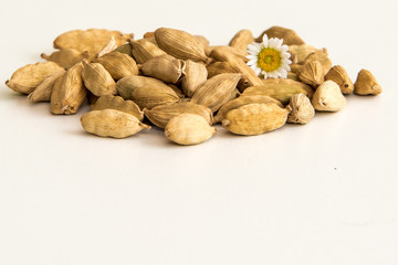 Cardamom for herbs, sweets bread and rise