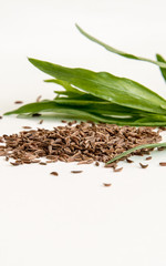 Cumin Seeds for Cakes Pies  Bread and Herbs
