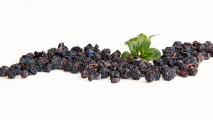 Dried blueberries