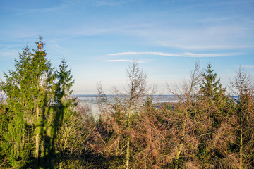 Baumwipfelpfad mit Blick auf die Landschaft