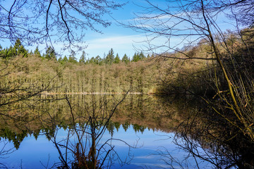 Morgenstimmung am See im Fr&uuml;hling