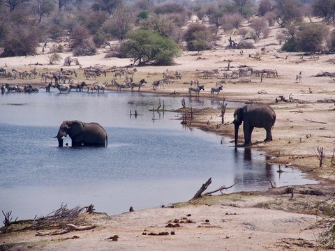 Botswana