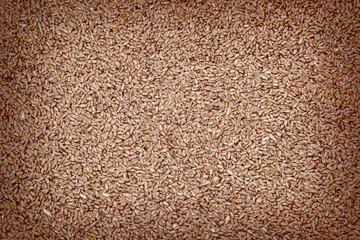 Foto op Canvas Wheat grains texture, old school processing. © Roberto Sorin