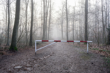 Obraz na płótnie Canvas Waldweg gesperrt mit einer Schranke im Nebel